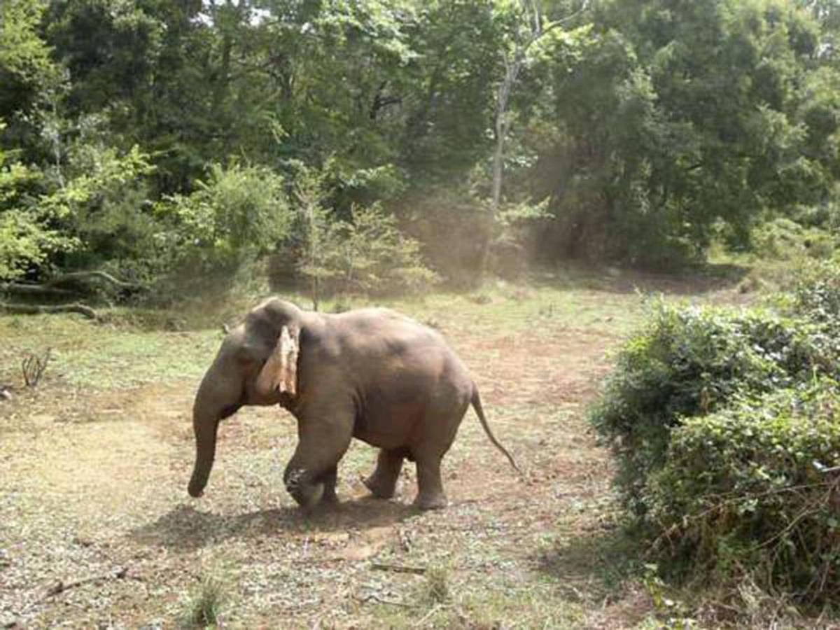 All View Safari Resort อุดาวาลาเว ภายนอก รูปภาพ